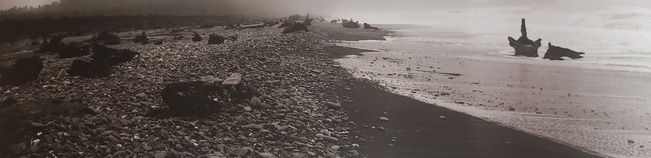 Dignity with Sincerity Funeral Services - Christchurch